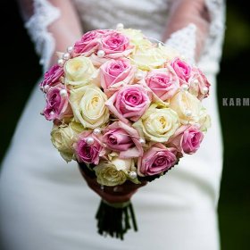 Professional<span>video</span>